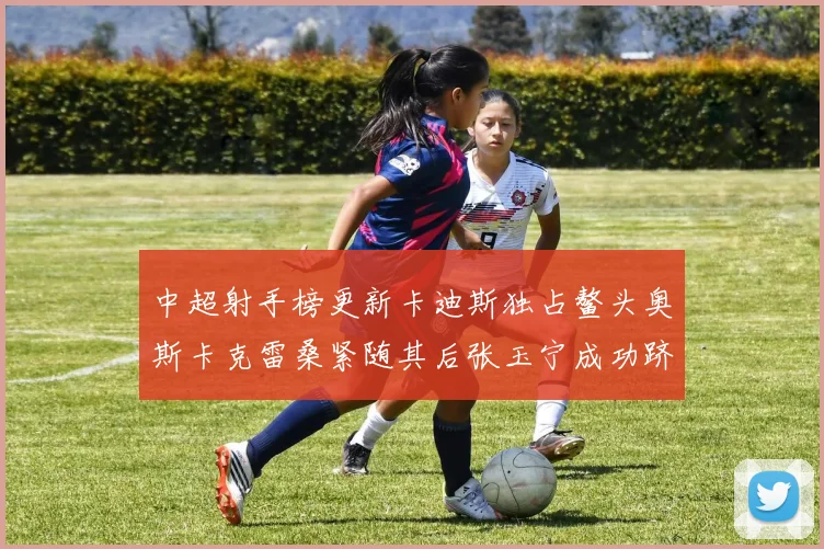 中超射手榜更新卡迪斯独占鳌头奥斯卡克雷桑紧随其后张玉宁成功跻身前十